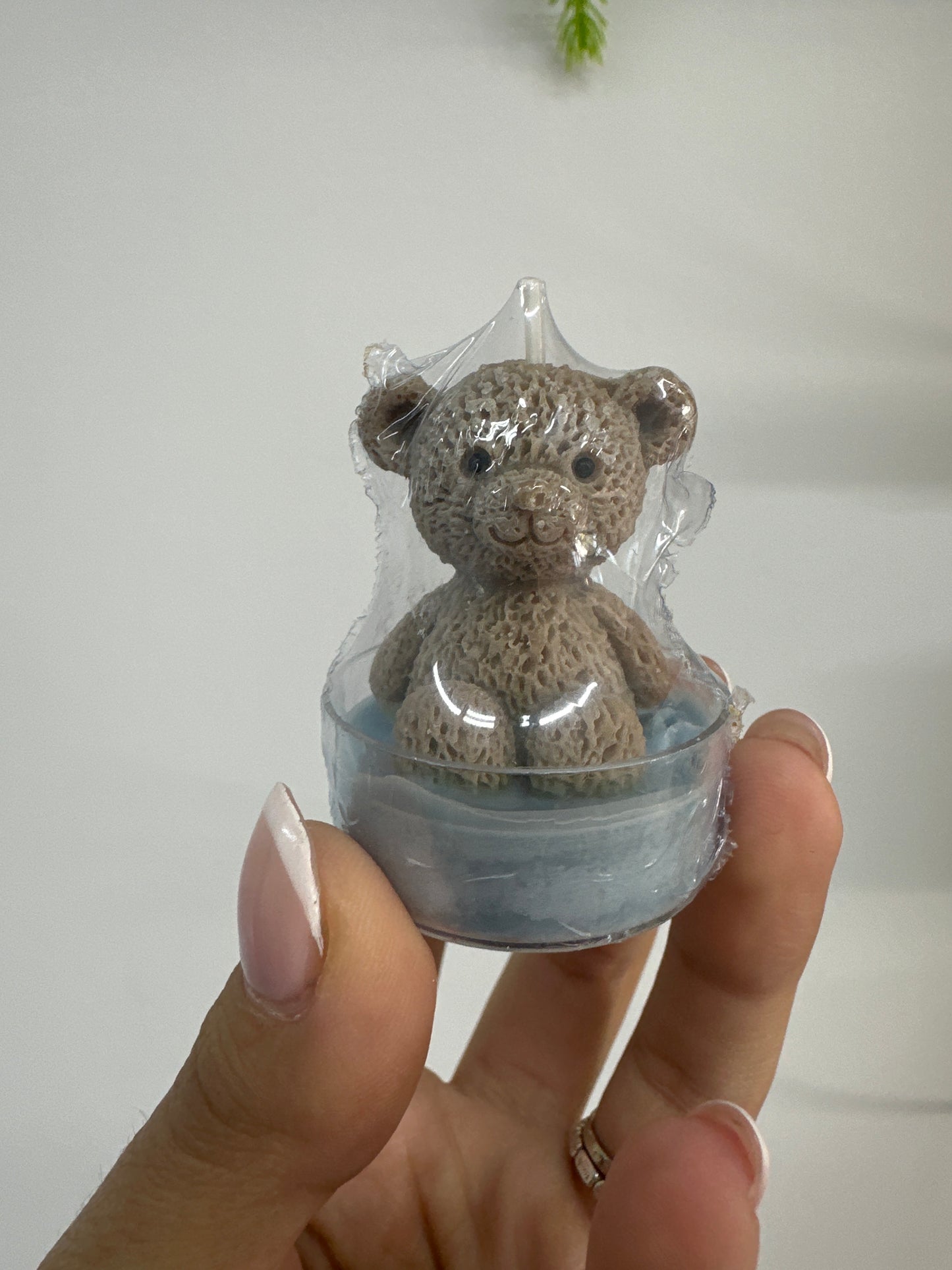 Pote com Urso Castanho