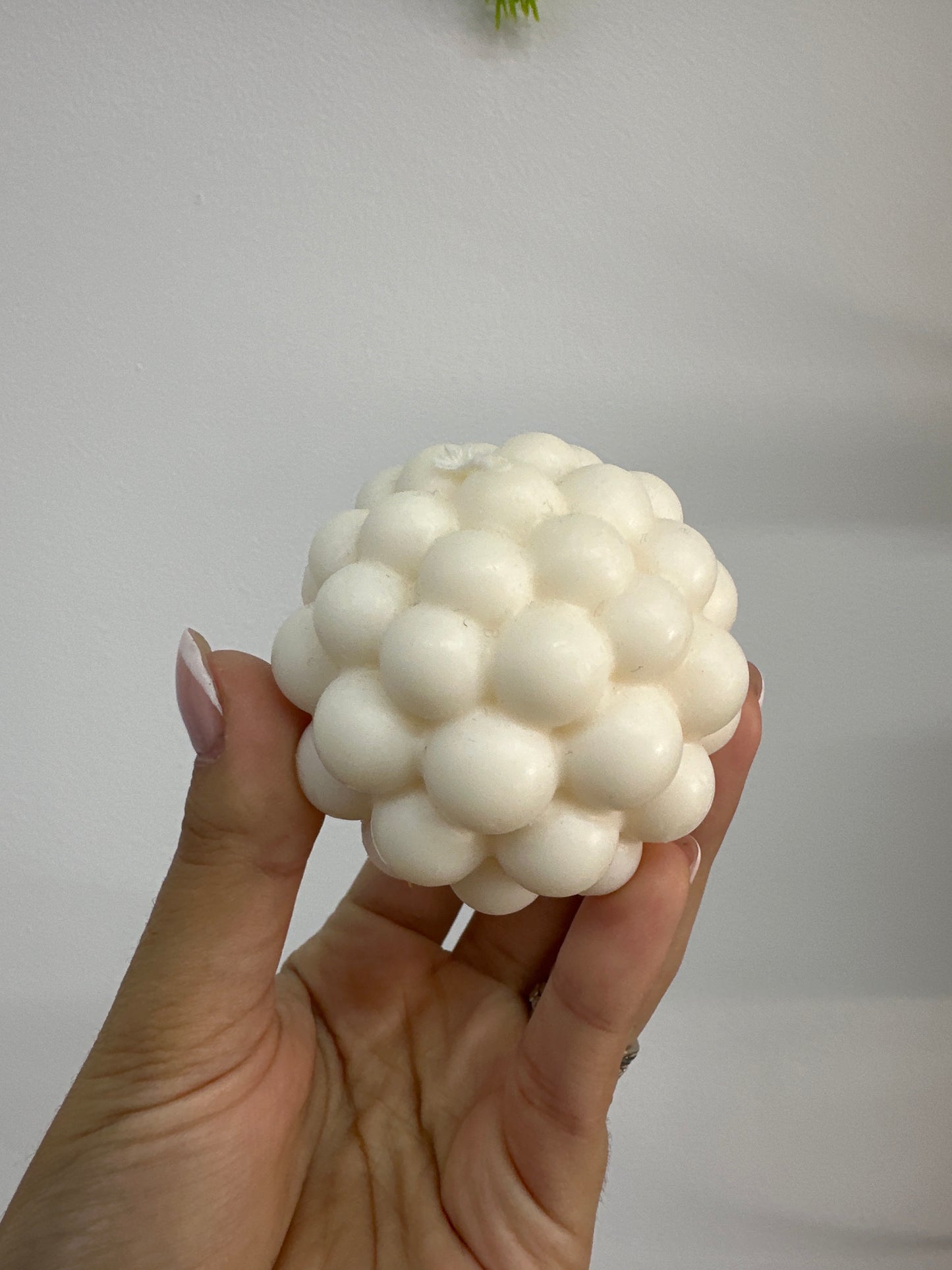 Bolhas