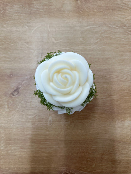 Pote Gesso c/Rosa